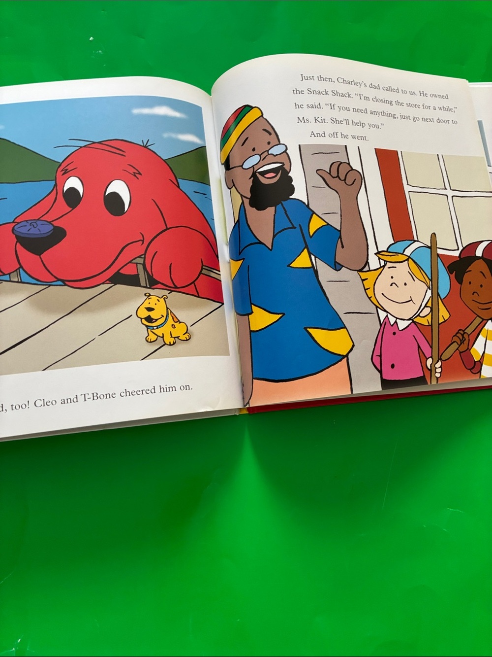 Kindergarten Readiness Bundle #6 (Singing Fox & 2 books) - Picture 7 of 17